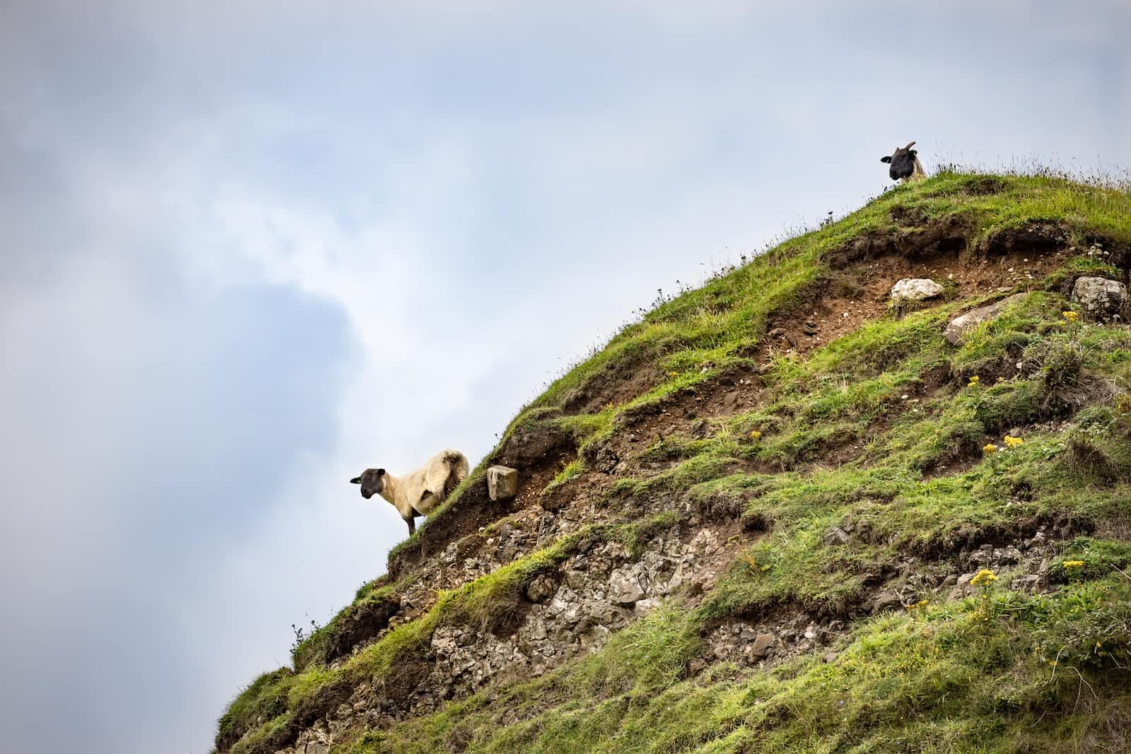 Understanding Backend Scaling: Strategies for Ensuring Optimal Performance as Your Application Grows